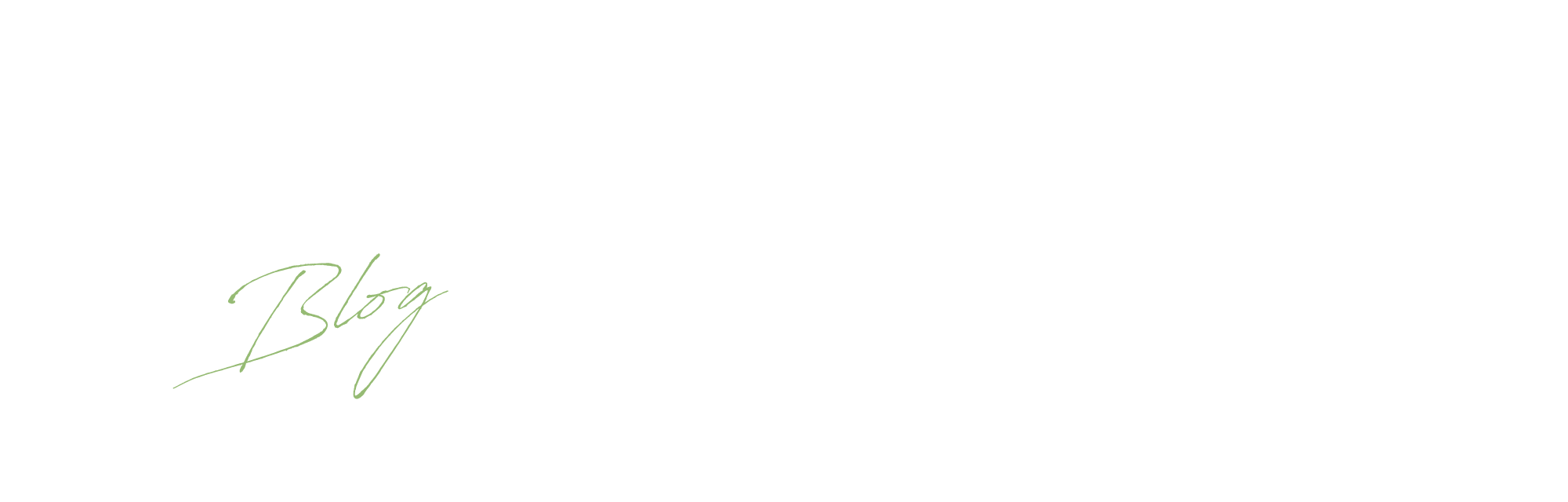 オフィシャルブログ